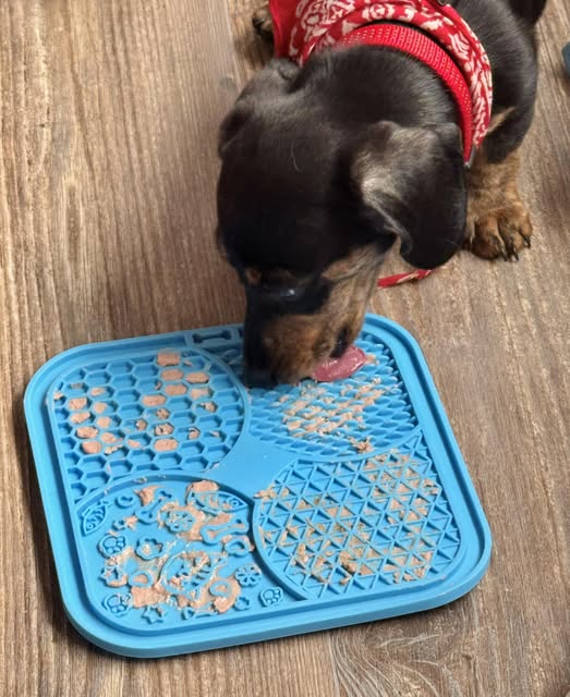 Hendrik met likmat upgrade