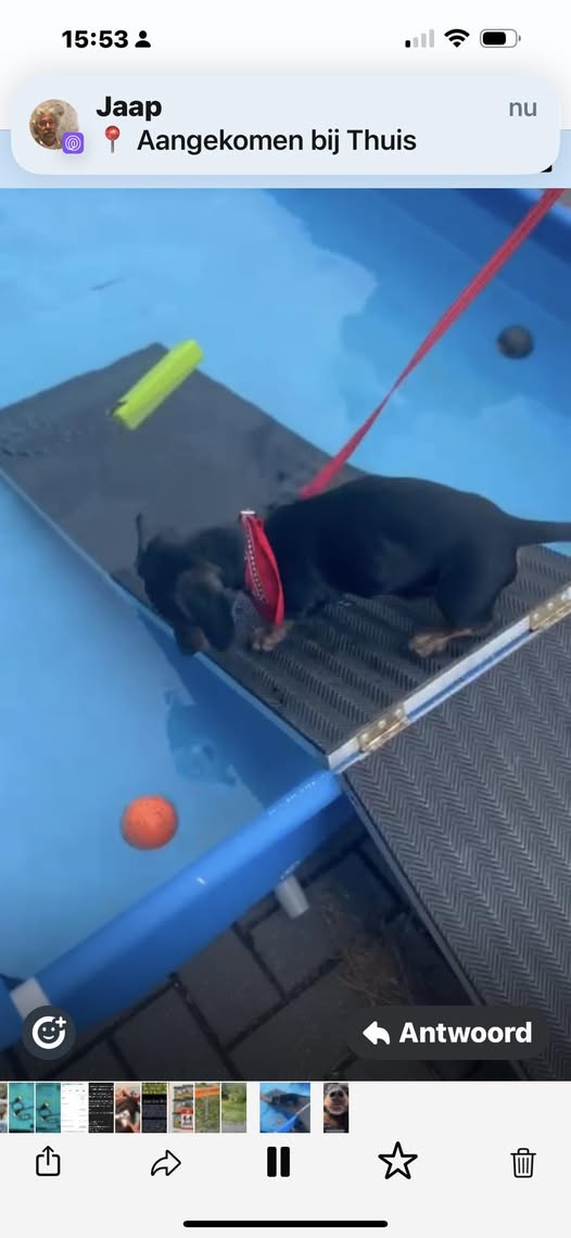 Hendrik viert overwinning